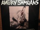 The Angry Samoans: Inside My Brain, rare 1st press Bad Trip 1980 12