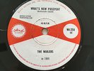THE WAILERS 