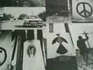Flux of pink indians strive to survive Album