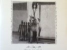 PATTI SMITH Horses (Live At Electric Lady Studios) Limited 180g 12