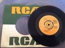 THE JOOK -BISH BASH rare UK 1974 DEMO PROMO / JUNKSHOP GLAM / PROTO PUNK / MINT-