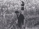 JESU/ SUN KIL MOON-JESU/SUN KIL MOON-VINYL LP (2) ROUGH TRADE/BEGGARS GROUP NEW