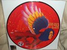 David Bowie RSD Limited Rare The Man Who sold the World Picture Disc New Mint 