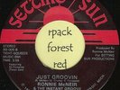 RONNIE McNEIR - Just Groovin' - SETTING SUN -  Detroit  Soul   7