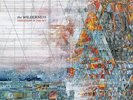 Explosions In The Sky - The Wilderness (Deluxe Edition) Vinyl 2LP NEU 09534380