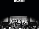 National, The - Boxer Vinyl Record
