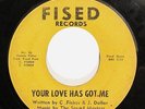 JOHNNY DOLLAR-YOUR LOVE HAS GOT ME on FISED SUPER RARE NORTHERN 45