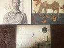 Josh Ritter Record Lot.The Beast In Its Tracks The Animal Years. Indie Folk Rock
