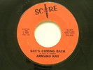Armand Kay 45 She's Coming Back / Sugar Lips   VG+ Detroit teen rock