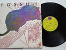 POSSUM - Self Titled s/t 1971 HIPPY RURAL PSYCH ROCK (LP) Capitol