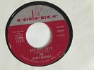 EVERLY BROTHERS -Bye Bye Love- 7