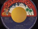 KISS Strutter 45 7