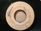 DELROY WILSON/I'VE TRIED MY BEST&YOUR NUMBER ONE BOSS REGGAE BLANK 45