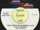 PAUL PETERSON - Your Love's Got Me Burnin' Alive - MOTOWN -   7
