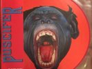 Puscifer V Is For Vagina Remixes Pic Disc RSD 2016 Limited Edition