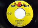 RODDIE JOY 45 Come Back Baby / Love Hit Me NORTHERN SOUL Red Bird 1965 e375