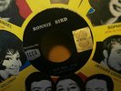 ronnie bird