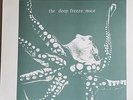 Deep Freeze Mice Saw A Ranch House Burning lp MOLE UK DIY KBD NWW Psych Punk Art