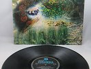 PINK FLOYD - 