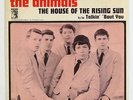 Animals 
