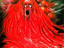 MORGOTH - Resurrection Absurd (Re-release) - Vinyl-LP - black Vinyl