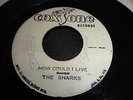 Reggae '45 Record THE SHARKS How Could I Live / JEFF & MARCIA Words COXSONE
