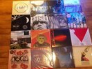 Psych & Alternative Vinyl inc. Spiritualized Ty Segall Brian Jonestown Massacre