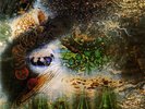 PINK FLOYD A SAUCERFUL OF SECRETS NEW SEALED 180G LP REISSUE IN STOCK