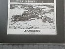 Genocide Organ - Leichenlinie 12