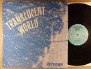 Strange  Translucent World    Private Psych Original 1973 Terry Brooks