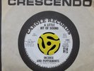 GARAGE/ROCK/PSYCH 45-A Little Bit Of Sound-Incense And Peppermints-Carole HEAR