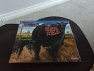 blink-182 Dude Ranch Orange Translucent Vinyl (Brand New)