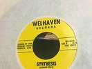 Halflings Of Minas Tirith - Synthesis EX-/VG+ Minnesota 60s Psych 45 RPM Record
