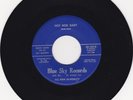 ROCKABILLY 45 RPM - ROCKY DAVIS ON BLUE SKY  RECORDS