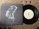 The Damned    Dodgy Demo   Love Song/Burglar   [laminate sleeve,RARE,MINT]