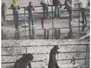 BEN WATT North Marine Drive LP 10 Track (bred40)  UK Cherry Red 1983