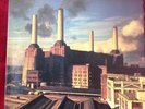 Pink Floyd - Animals - LP - German Press -  1c064-98434