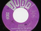 Tommy Roe & The Satins 7