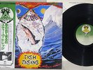 STEVE HILLAGE FISH RISING VIRGIN VIP-6908 Japanese Pressing OBI Vinyl LP