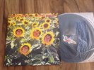 Sunnyboys 