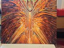 Cynic - Focus (Vinyl LP on Roadrunner) (Metal, Thrash) EX