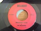 Rocker, The Emanons, Emanons Rock, Delbert # 5291?