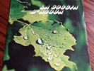 REMIGIO DUCROS & DANIELA CASA Lp LA GOCCIA D'AQUA - KIDDIE LOUNGE POP FUNK oHEAR