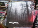 the CURE 12