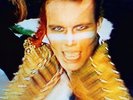 ADAM & THE ANTS - KINGS OF THE WILD FRONTIER - NEW BOX SET
