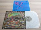 BEYOND THE CALICO WALL LP - SAME / VOXX RECORDS PRESS in MINT