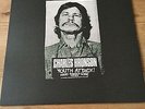 Charles Bronson Youth Attack 1997 1st Press Vinyl Record Hardcore PV Spazz Punk