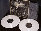 Neil Young ?– Mirror Ball     RARE  LP COLOR TOP MINT.
