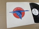 BLUE GOOSE s/t self titled US PROMO ORIGINAL LP (ANCL-2005) hard rock blues rock
