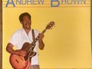 ANDREW BROWN On The Case LP Electric CHICAGO Blues Double Trouble Import